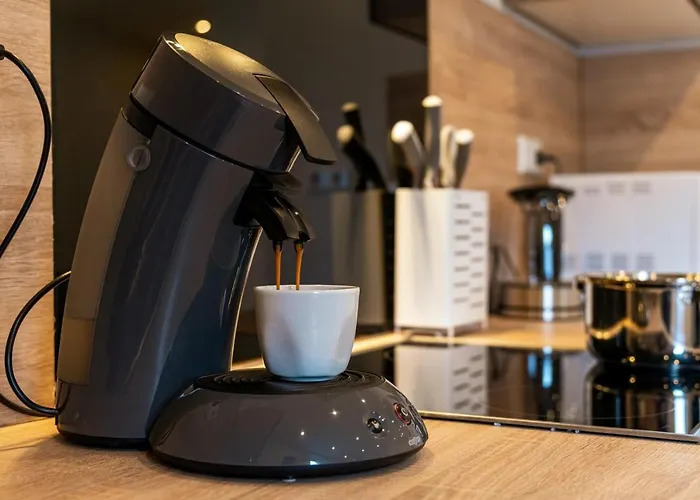 Relax-apartment - Sauna & Spacious, Garage, 105 M2 Muhlacker